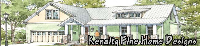 Custom home color rendering